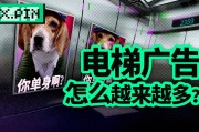 狮子座强调自己单身吗男生，狮子座强调自己单身吗男生会怎么样